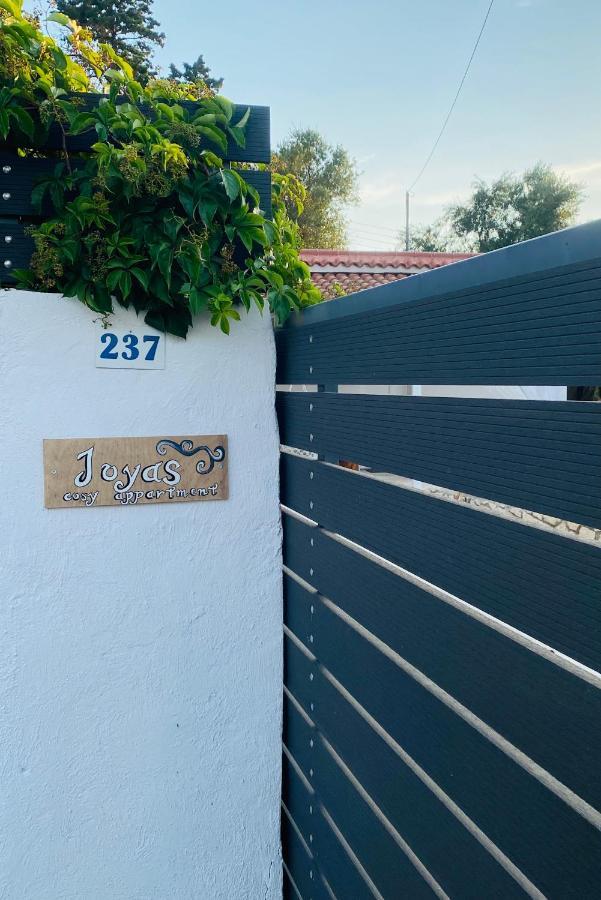 Joyas Cosy Apartment Tragaki Buitenkant foto